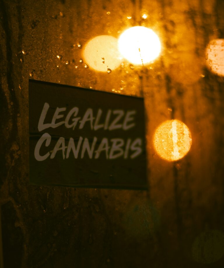 Cannabisgesetz in der Schweiz: Entwurf für das Cannabisproduktegesetz ist da