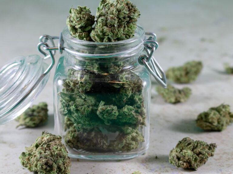 Medizinal Cannabisgesetz: Rückschritt statt Fortschritt