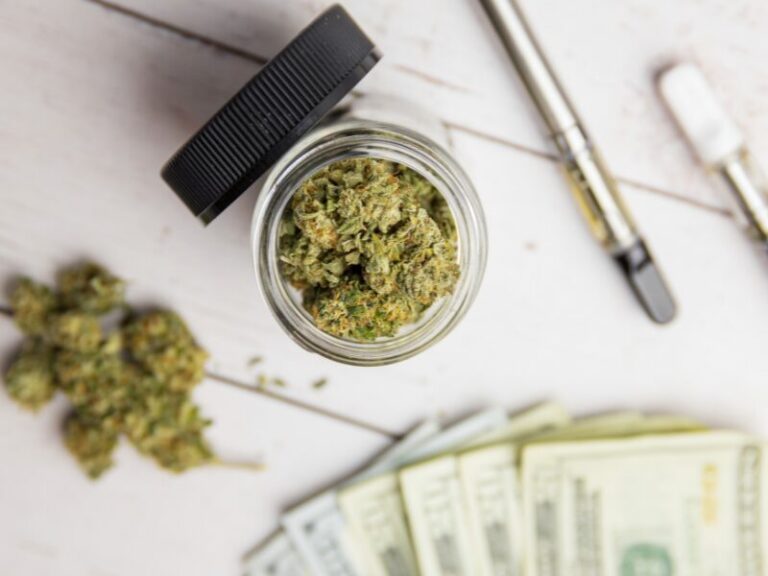 Cannabisgesetz in der Kritik – was steckt hinter den Vorwürfen?