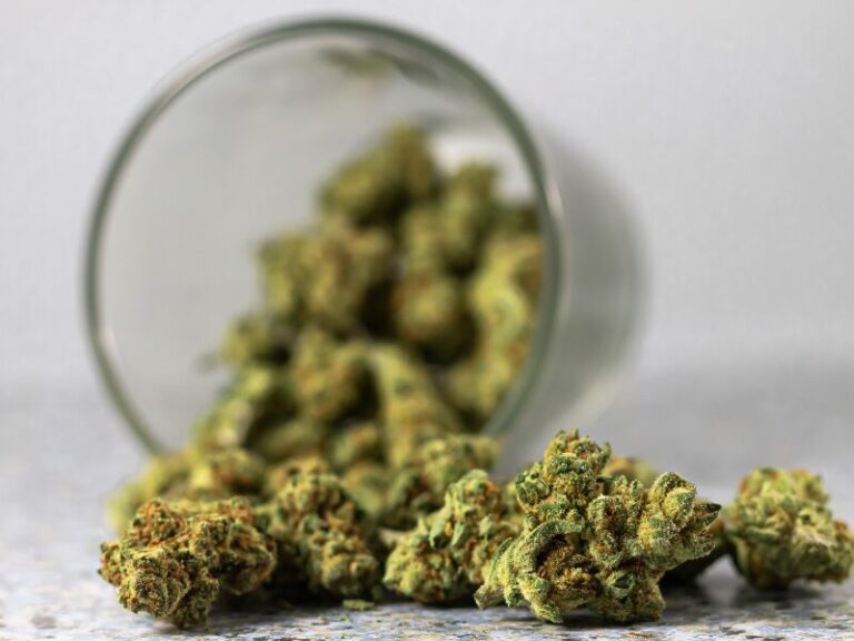 Das Cannabisgesetz in Deutschland – große Versprechen, wenig Fortschritt