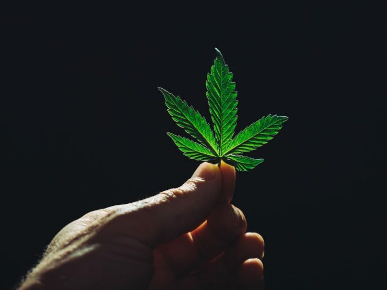 Cannabis Aktivist Jens Hinsche im Interview - mache deine Stadt zur Modellstadt