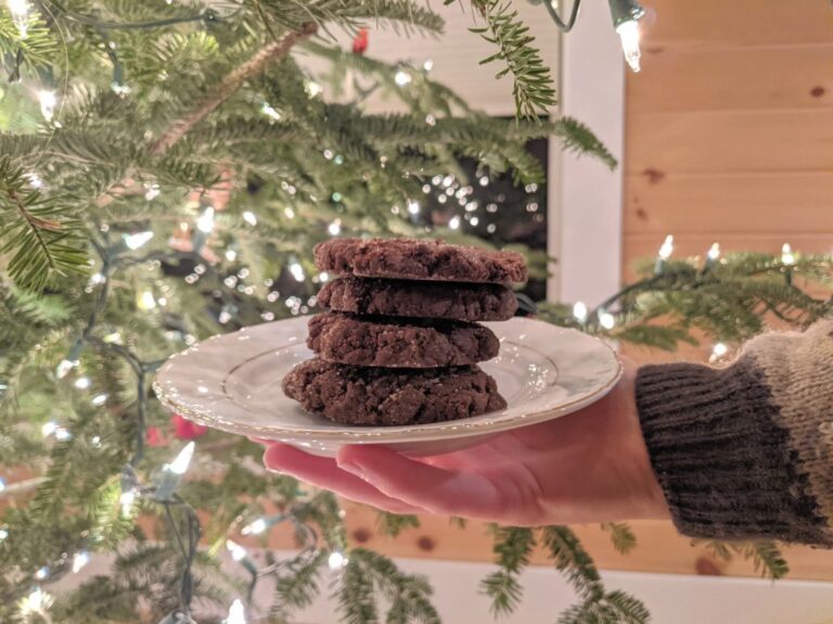 Ingwer-Molasse-Kekse infused: lecker Winterspecial mit Wirkung
