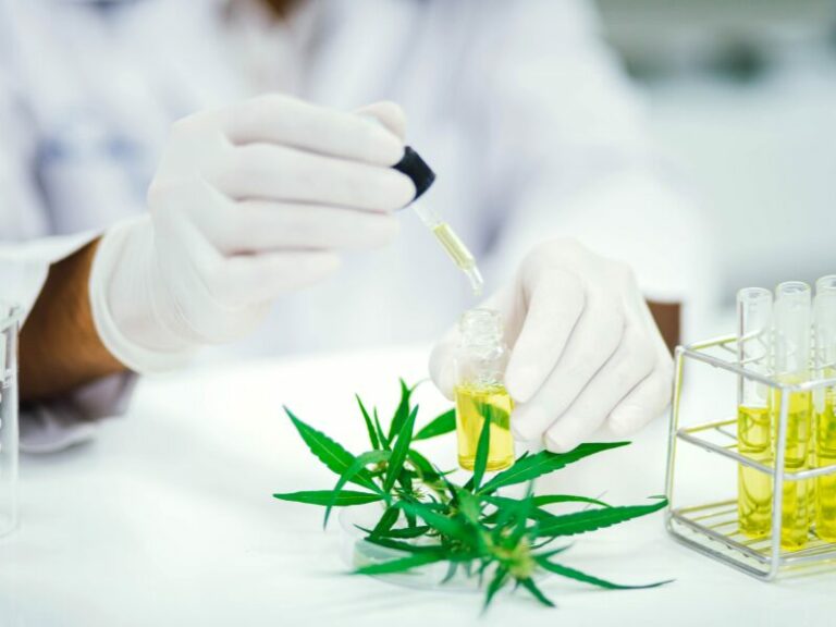 MedCanG Nachbesserung: rückt die Union von harten Cannabis Regeln ab?
