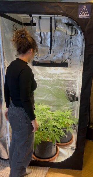 die smart grow light in einem treez tools zelt