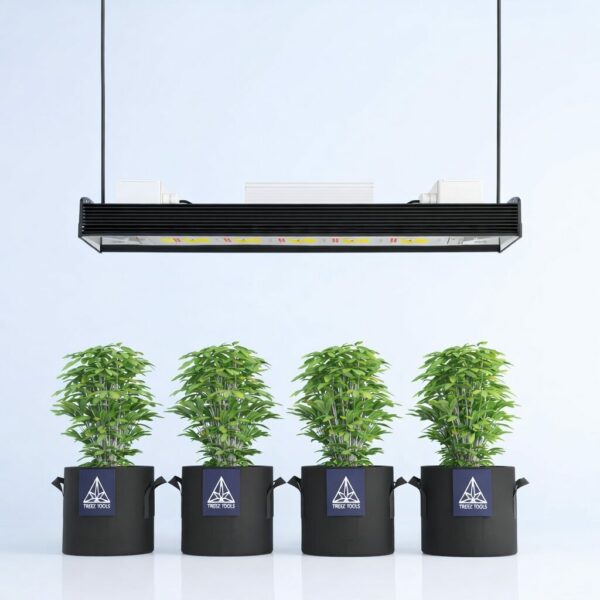Growlampe LED neu verstanden: Die Treez Tools Smart Grow Light Series powered by Bilberry ist hier zu sehen, über vier Pflanzen.