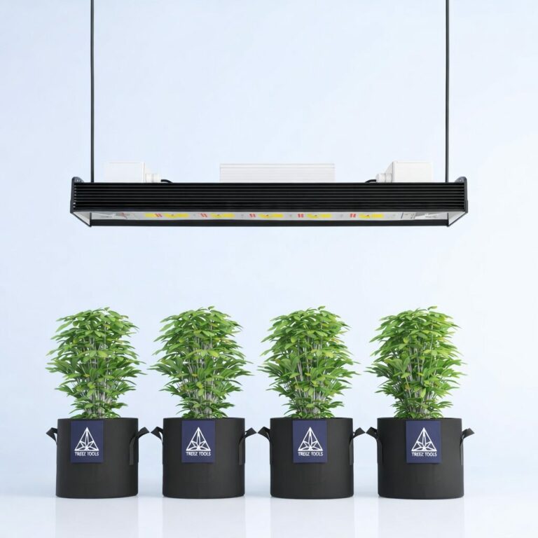 Growlampe LED: 5 Lichtfaktoren für einen besseren Ertrag