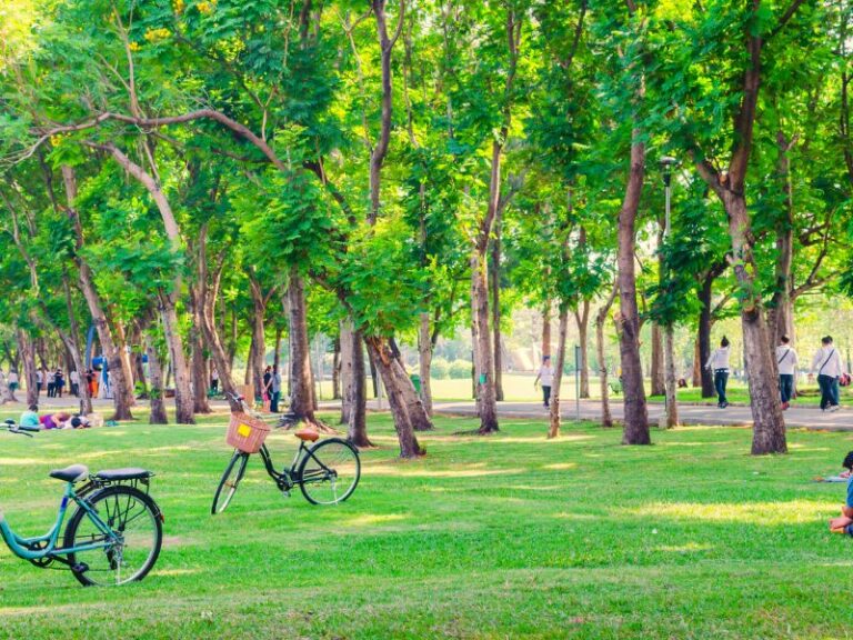 Update: Das Konsumverbot in bayrischen Parks ist aufgehoben