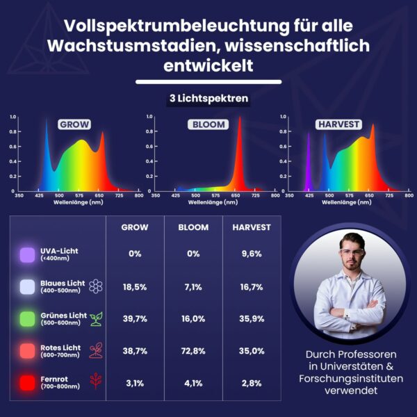die verschiedenen Lichtspektren