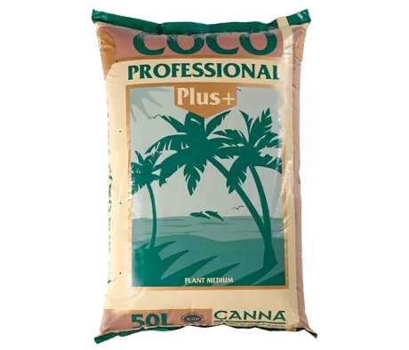 Canna Coco 