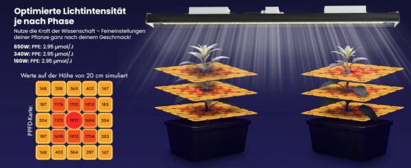 optimierte Lichtintensität