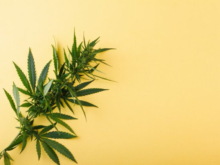 Cannabis als Ordnungswidrigkeit. Ein interessanter Fall!