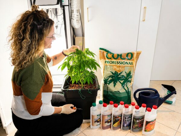 CANNA Coco im Test