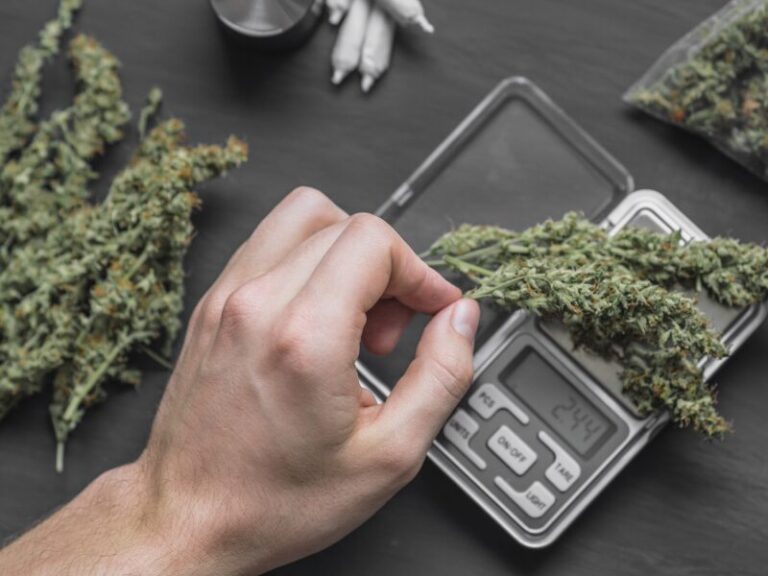 Der Schwarzmarkt wächst? Sicherlich nicht durch eine Legalisierung